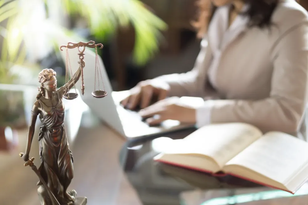 avocat (2)